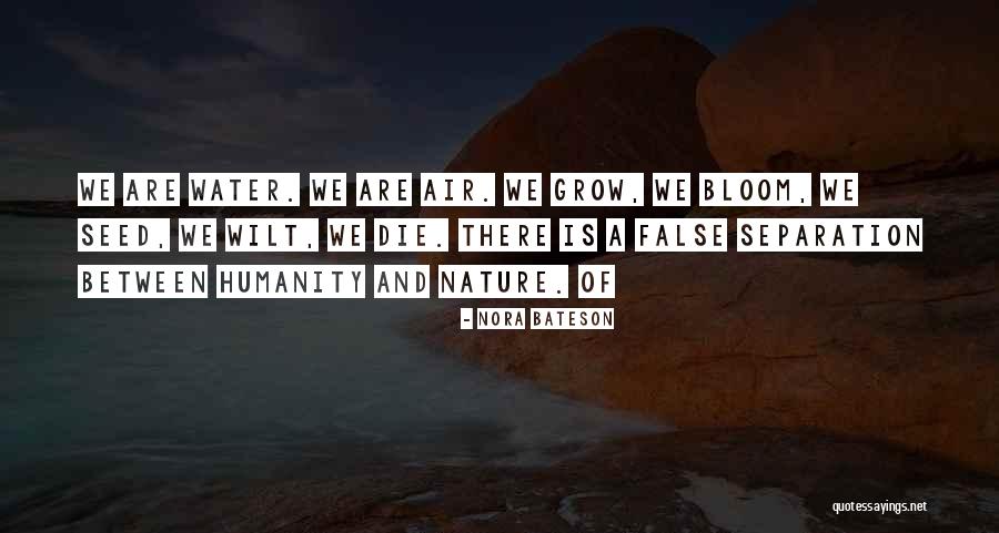 Nora Bateson Quotes 1118576 Nora Bateson Quotes 1118576