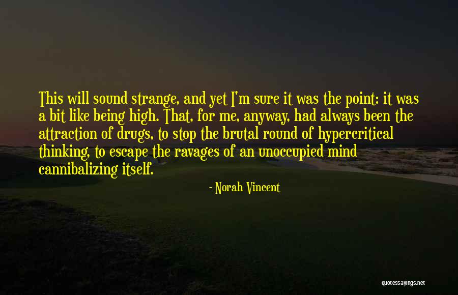 Norah Vincent Quotes 639492 Norah Vincent Quotes 639492