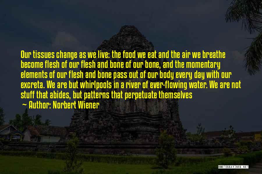 Norbert Wiener Quotes 212145