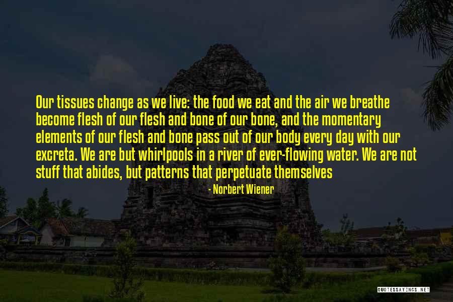 Norbert Wiener Quotes 212145