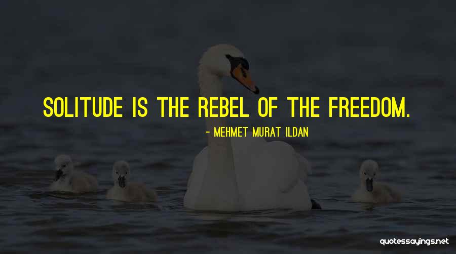 Norcini Quotes By Mehmet Murat Ildan Norcini Quotes By Mehmet Murat Ildan