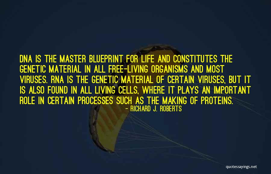 Noretta How I Met Quotes By Richard J. Roberts Noretta How I Met Quotes By Richard J. Roberts