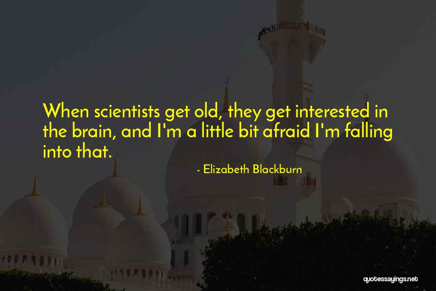 Norifumi Kamo Quotes By Elizabeth Blackburn Norifumi Kamo Quotes By Elizabeth Blackburn
