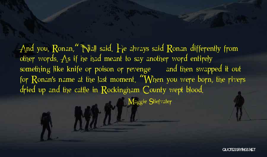 Norihide Kise Quotes By Maggie Stiefvater Norihide Kise Quotes By Maggie Stiefvater