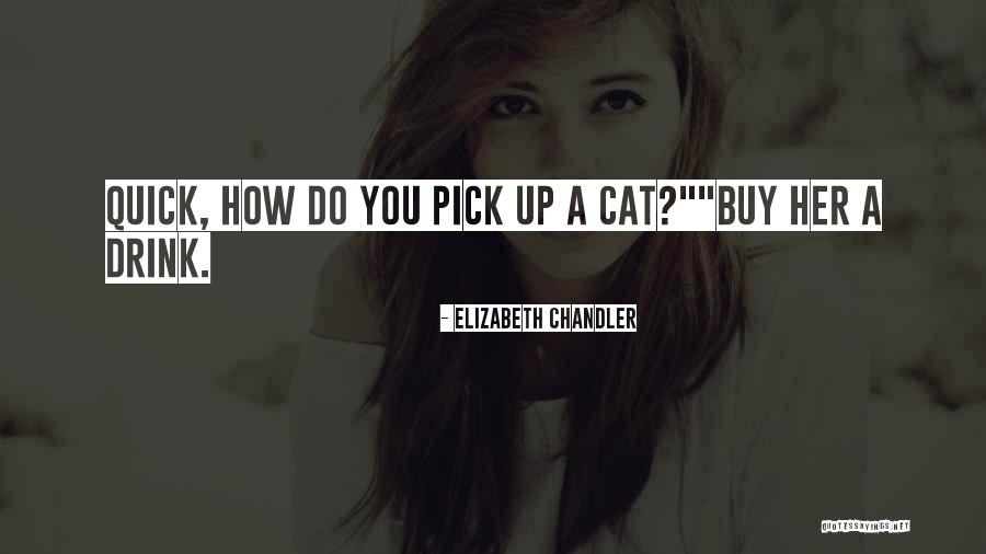 Noriko Hidaka Quotes By Elizabeth Chandler