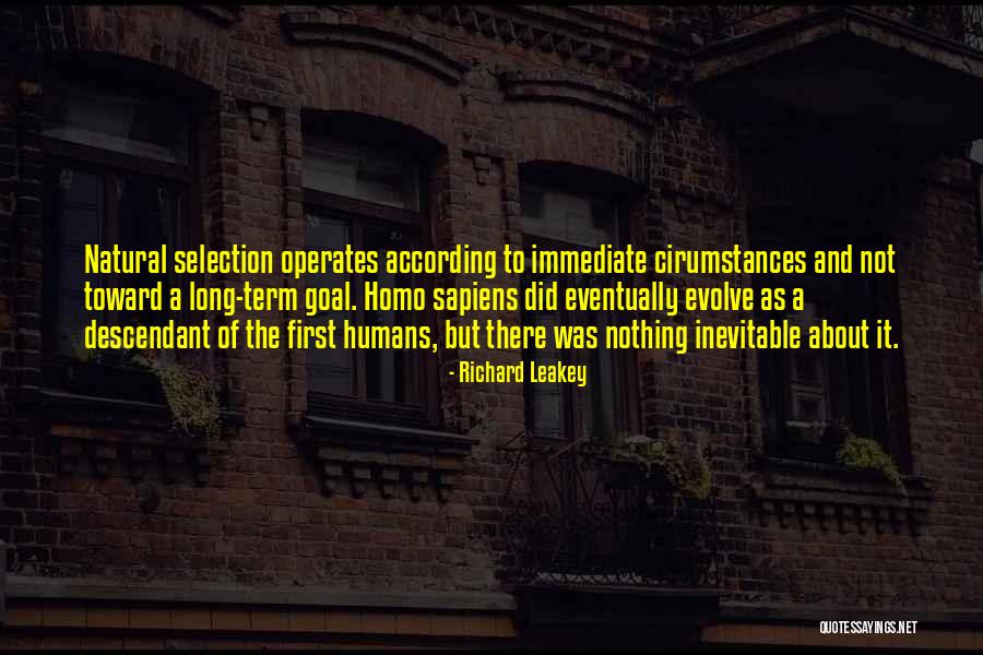 Noriyuki Pat Quotes By Richard Leakey Noriyuki Pat Quotes By Richard Leakey