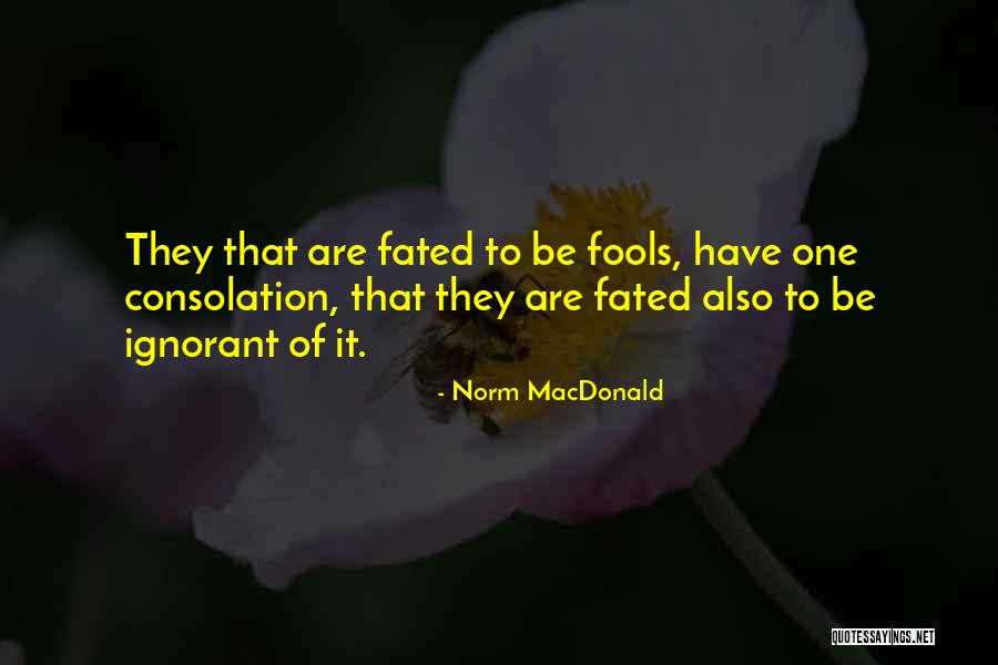 Norm MacDonald Quotes 1451158 Norm MacDonald Quotes 1451158