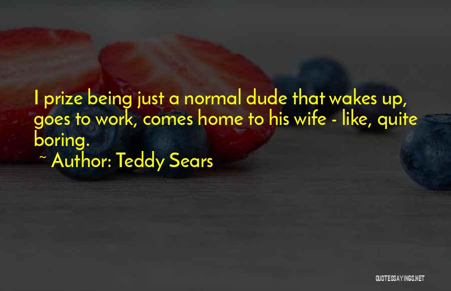 Normal Boring Quotes By Teddy Sears
