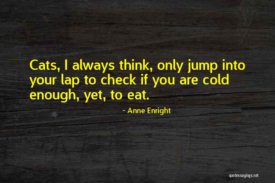 Normalise Breastfeeding Quotes By Anne Enright Normalise Breastfeeding Quotes By Anne Enright