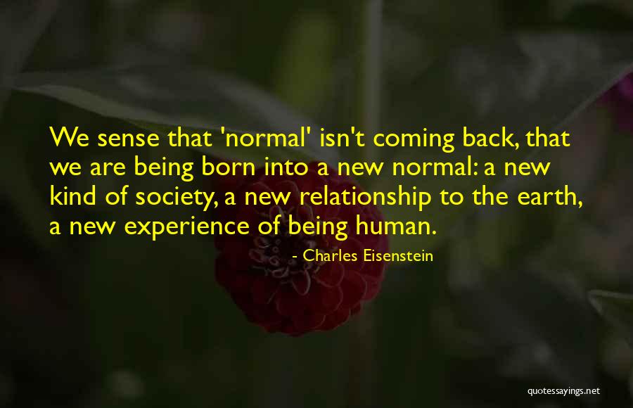 Normality Quotes By Charles Eisenstein