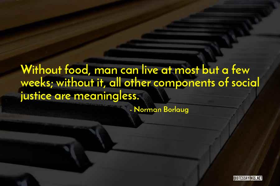 Norman Borlaug Quotes 779877