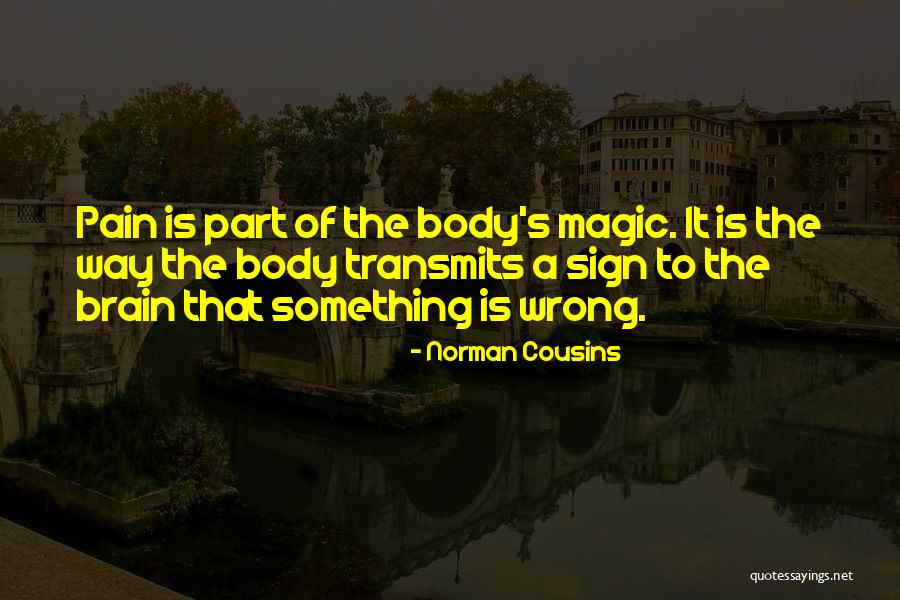 Norman Cousins Quotes 524429