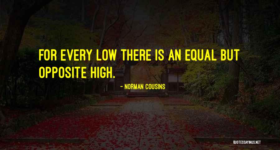 Norman Cousins Quotes 542957