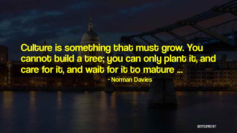 Norman Davies Quotes 2247814 Norman Davies Quotes 2247814