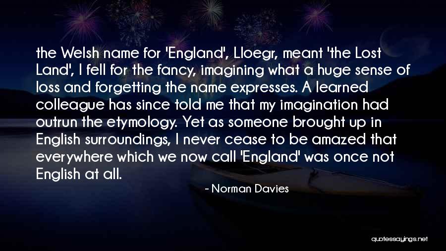 Norman Davies Quotes 934137 Norman Davies Quotes 934137