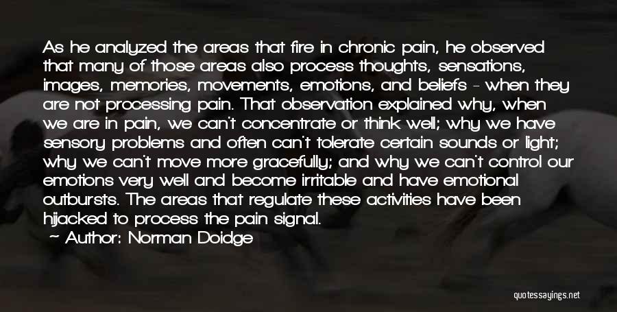 Norman Doidge Quotes 1303247