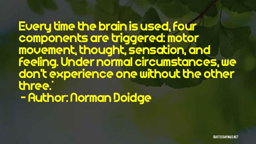 Norman Doidge Quotes 1662468