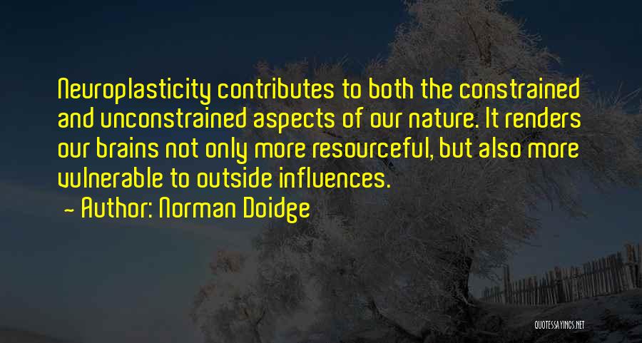 Norman Doidge Quotes 687274