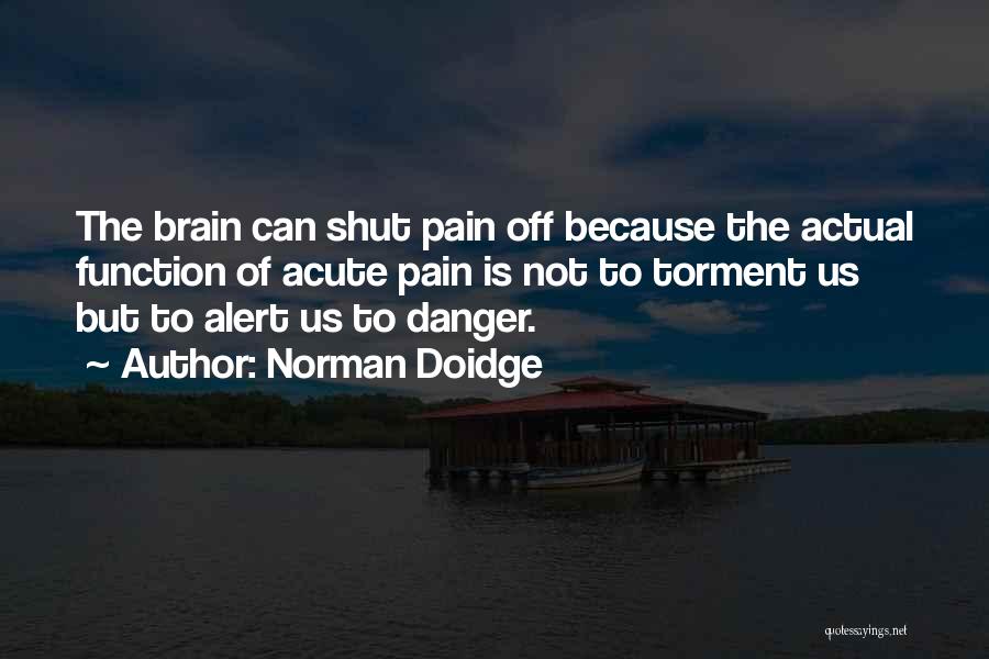 Norman Doidge Quotes 868945