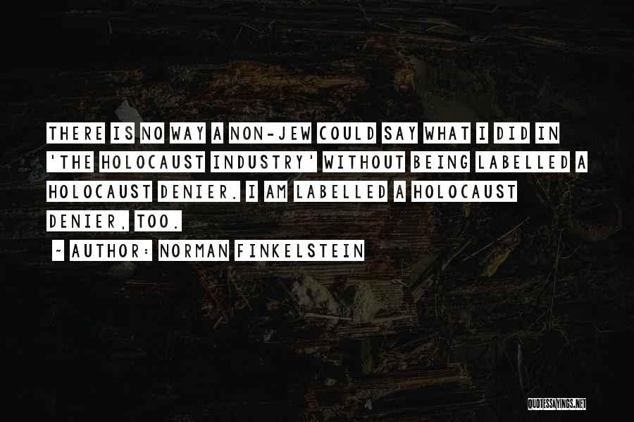 Norman Finkelstein Quotes 1960873