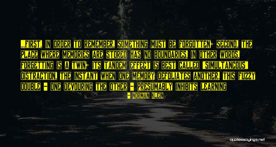 Norman Klein Quotes 1866975