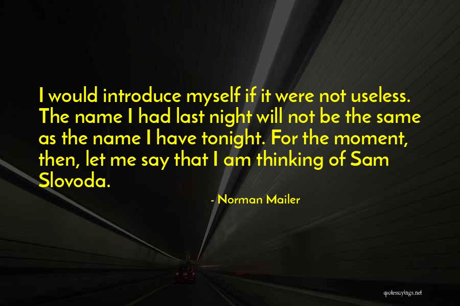 Norman Mailer Quotes 141069