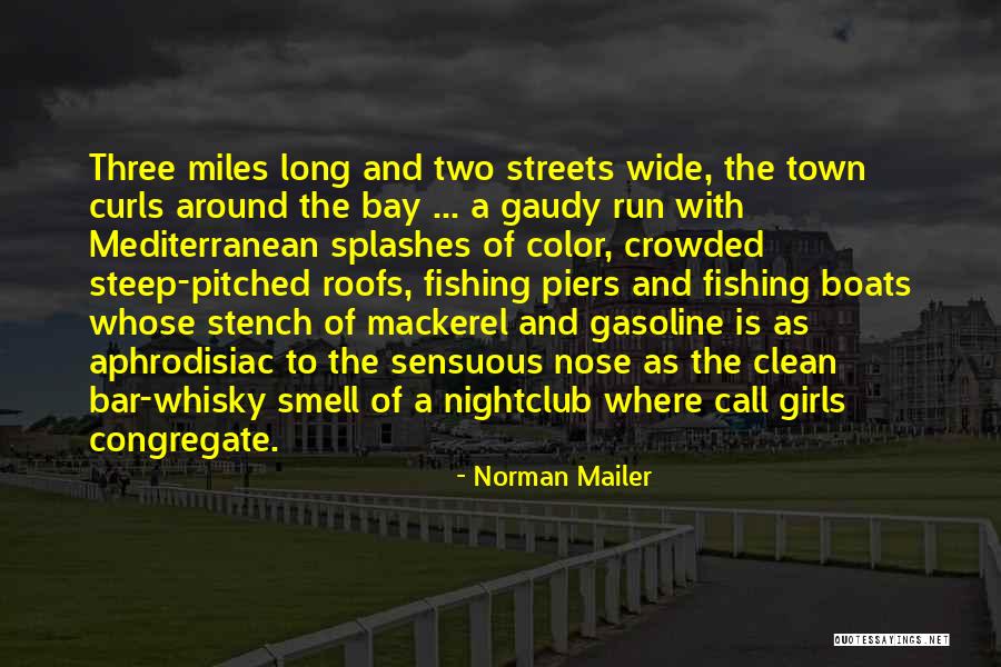 Norman Mailer Quotes 1804093