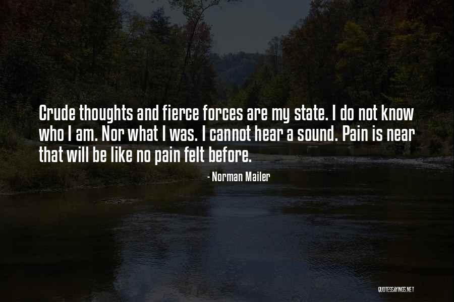 Norman Mailer Quotes 2172224 Norman Mailer Quotes 2172224
