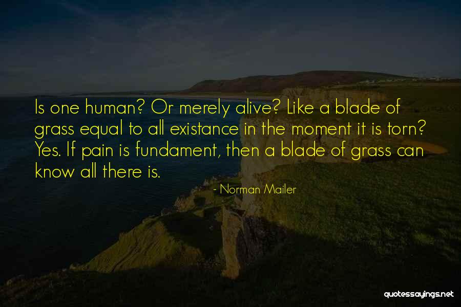 Norman Mailer Quotes 604159 Norman Mailer Quotes 604159