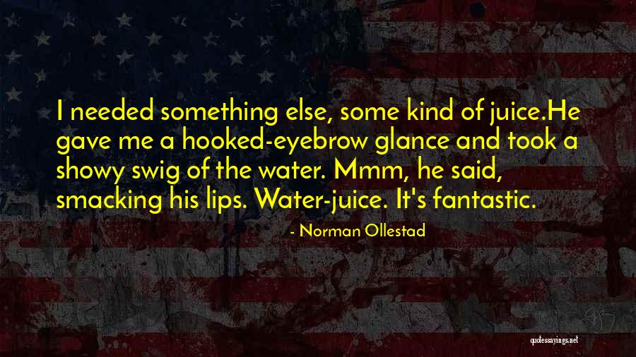 Norman Ollestad Quotes 1327952