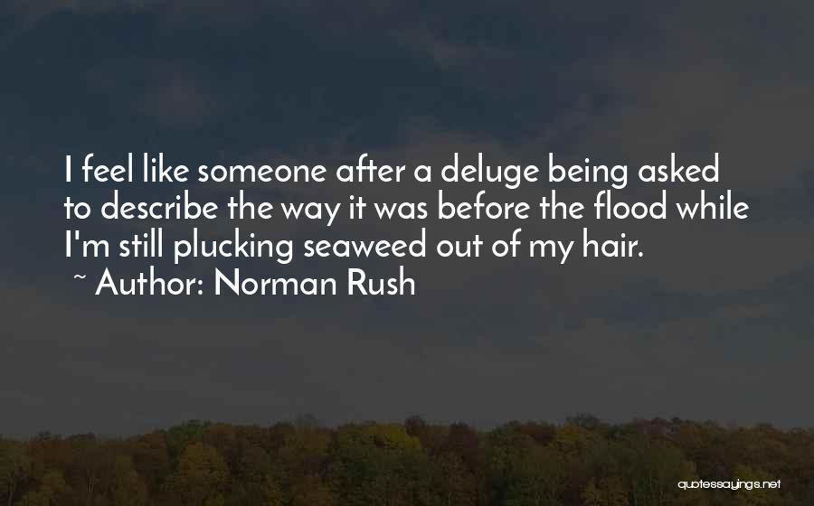 Norman Rush Quotes 1107602