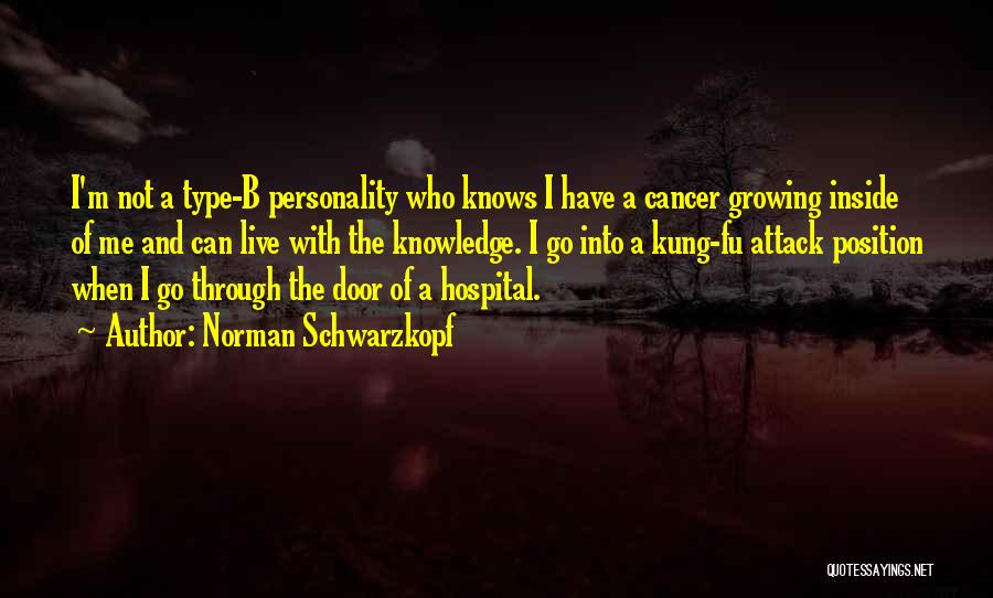 Norman Schwarzkopf Quotes 1096428