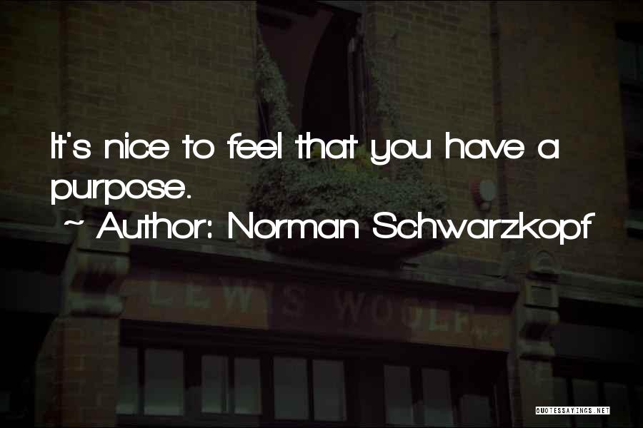 Norman Schwarzkopf Quotes 1851073