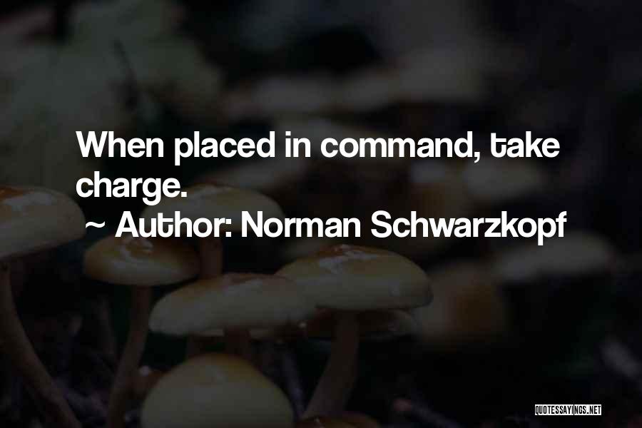 Norman Schwarzkopf Quotes 2063499
