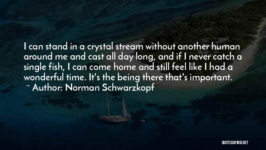 Norman Schwarzkopf Quotes 2126831