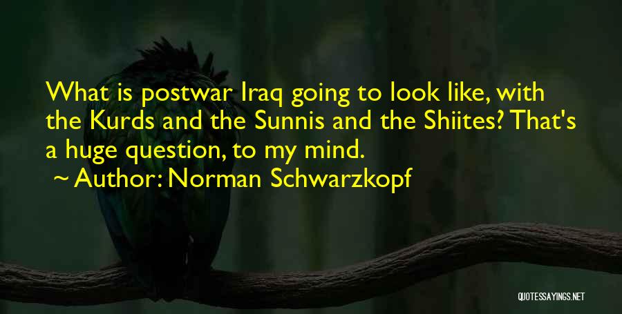 Norman Schwarzkopf Quotes 354322