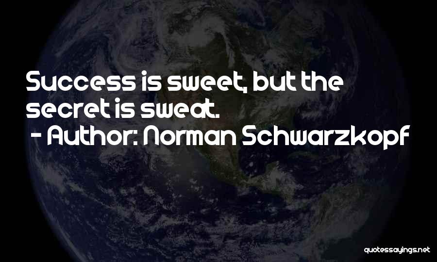 Norman Schwarzkopf Quotes 951745