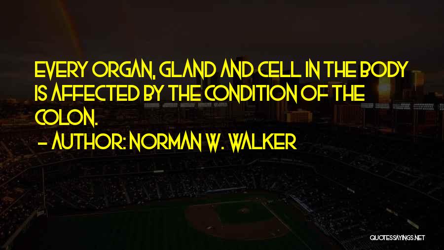 Norman W. Walker Quotes 323029