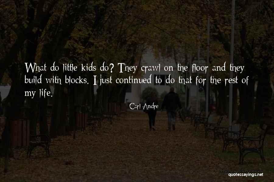 Normannorthlive Quotes By Carl Andre Normannorthlive Quotes By Carl Andre
