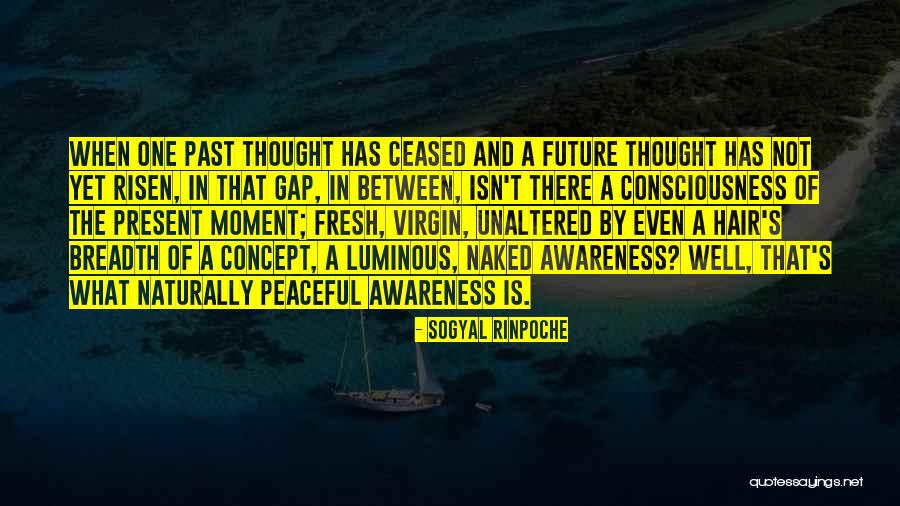 Normes De Travail Quotes By Sogyal Rinpoche Normes De Travail Quotes By Sogyal Rinpoche
