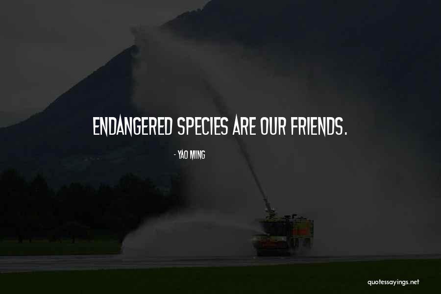 Normetanephrine Pl Quotes By Yao Ming Normetanephrine Pl Quotes By Yao Ming