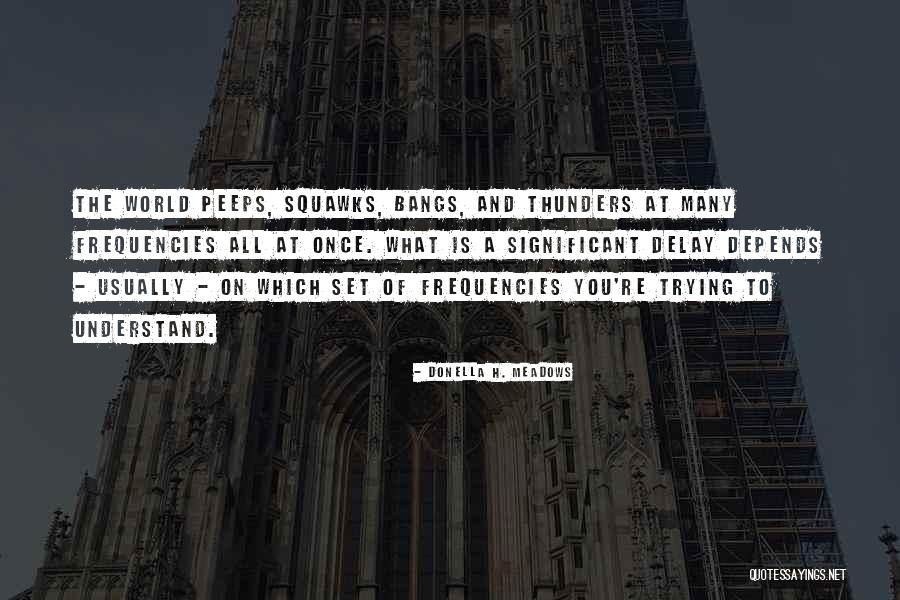 Normonie Quotes By Donella H. Meadows Normonie Quotes By Donella H. Meadows
