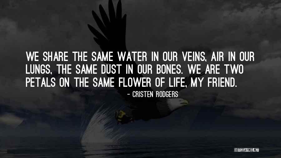 Norms That Can Be Violated Quotes By Cristen Rodgers Norms That Can Be Violated Quotes By Cristen Rodgers