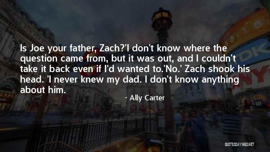 Norona Fernandez Quotes By Ally Carter Norona Fernandez Quotes By Ally Carter