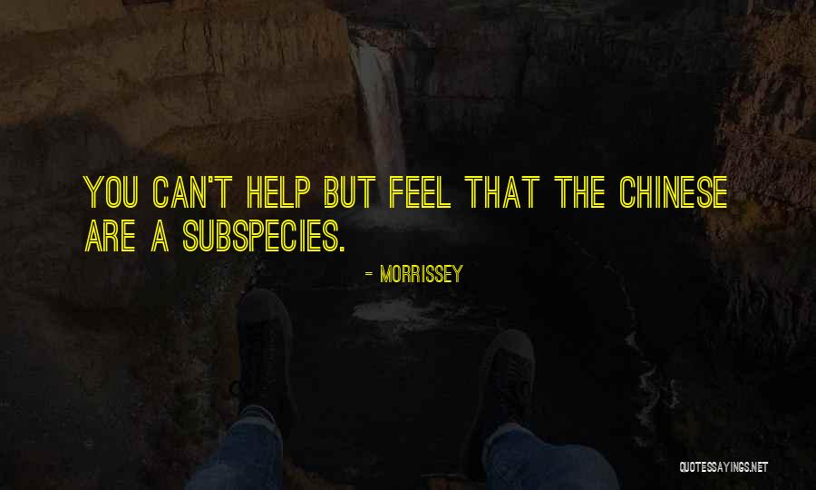 Norquist Campground Quotes By Morrissey Norquist Campground Quotes By Morrissey