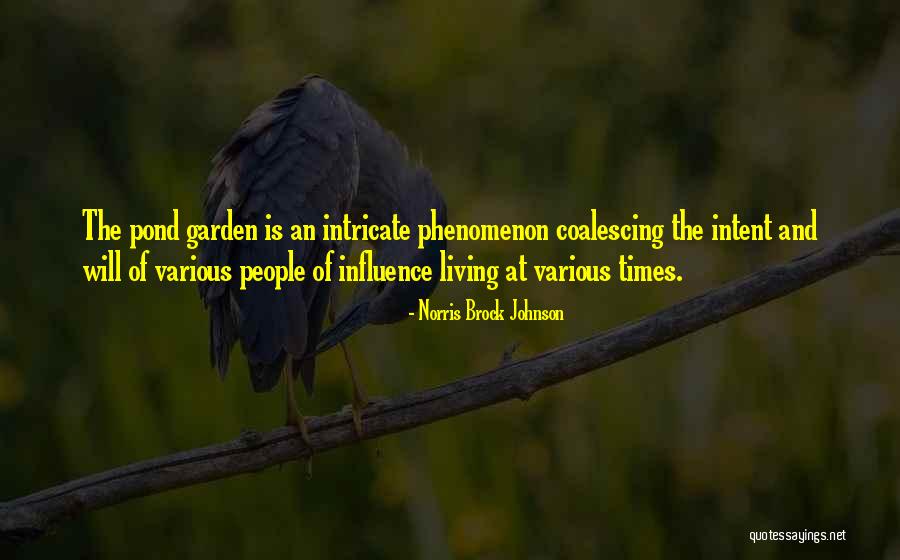 Norris Brock Johnson Quotes 1966984 Norris Brock Johnson Quotes 1966984