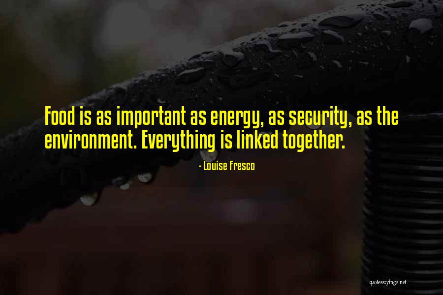 Norteamericano Quotes By Louise Fresco Norteamericano Quotes By Louise Fresco