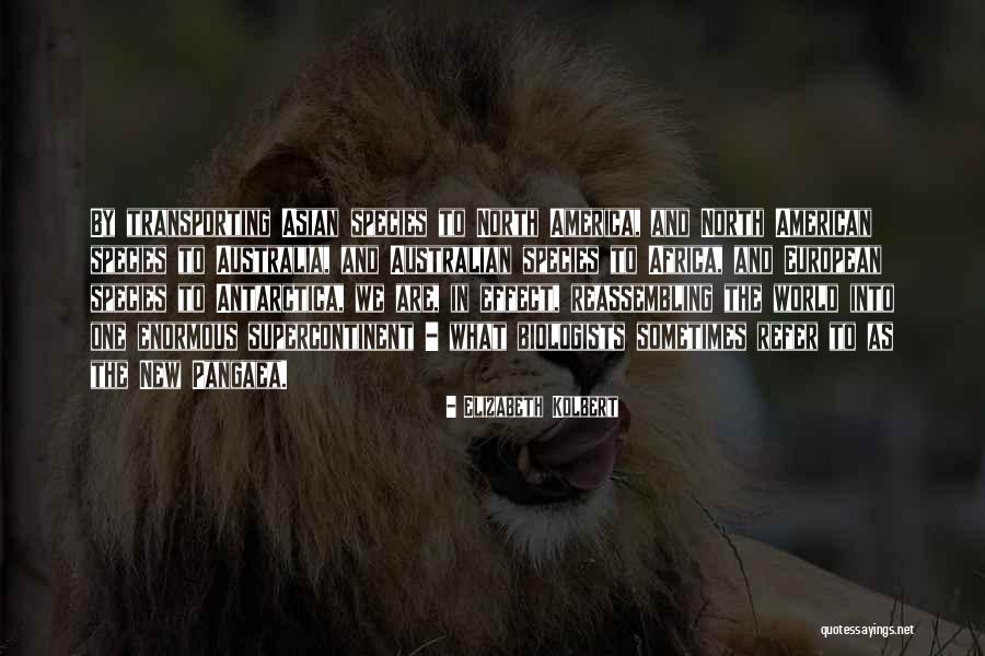 North Africa Quotes By Elizabeth Kolbert North Africa Quotes By Elizabeth Kolbert