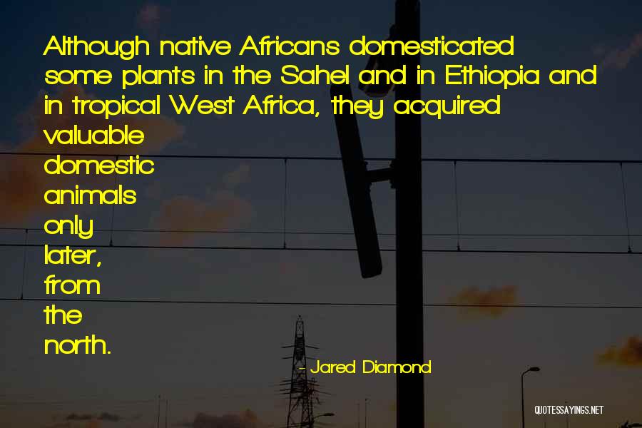 North Africa Quotes By Jared Diamond North Africa Quotes By Jared Diamond