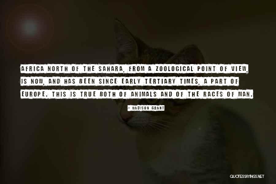 North Africa Quotes By Madison Grant North Africa Quotes By Madison Grant